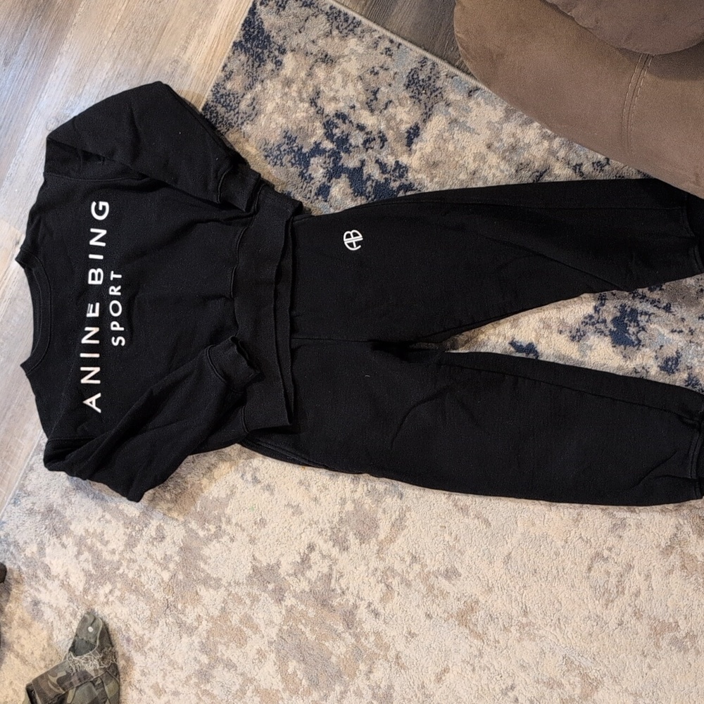 Anine bing sweat suit